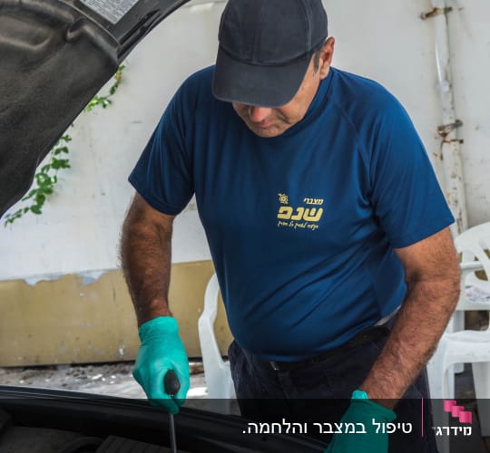 אדם מתקן רכב עם כפפות וכלי עבודה